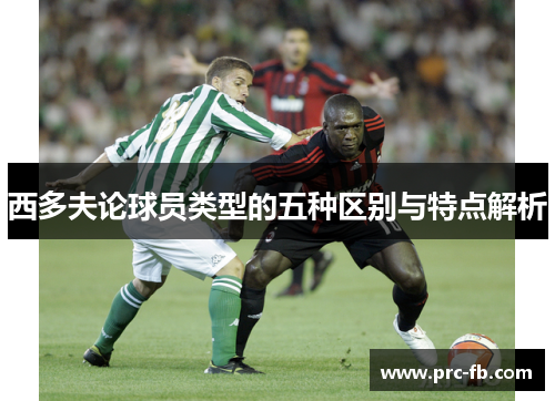 西多夫论球员类型的五种区别与特点解析