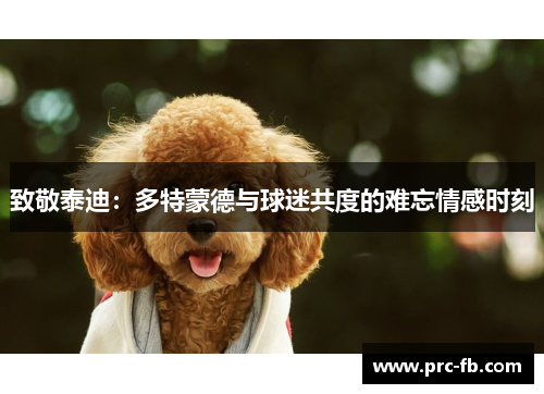 致敬泰迪：多特蒙德与球迷共度的难忘情感时刻