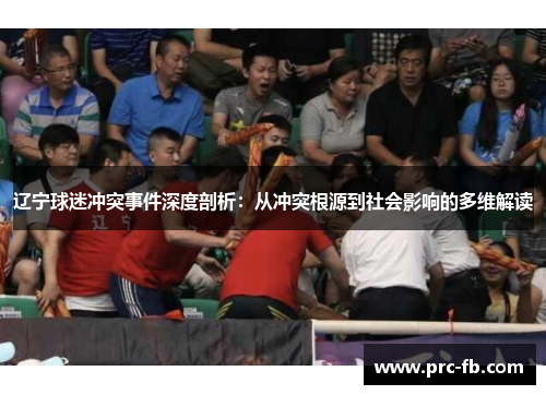 辽宁球迷冲突事件深度剖析：从冲突根源到社会影响的多维解读
