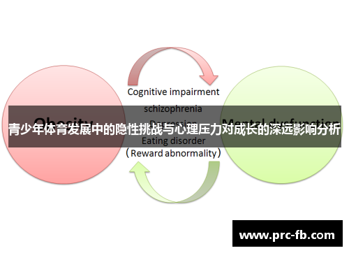 青少年体育发展中的隐性挑战与心理压力对成长的深远影响分析