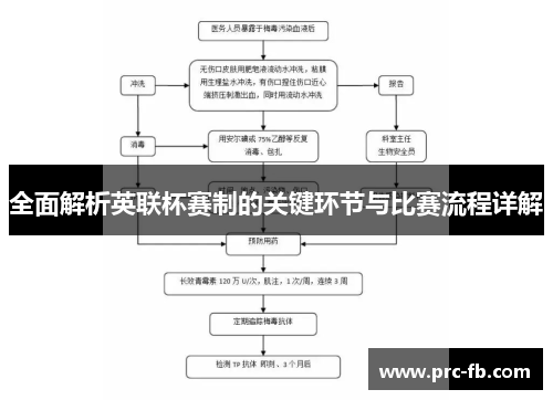 全面解析英联杯赛制的关键环节与比赛流程详解