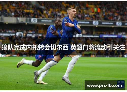 狼队完成内托转会切尔西 英超门将流动引关注